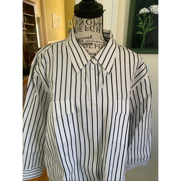 Ralph Lauren Plus Size Button Down Shirt - Picture 2 of 12